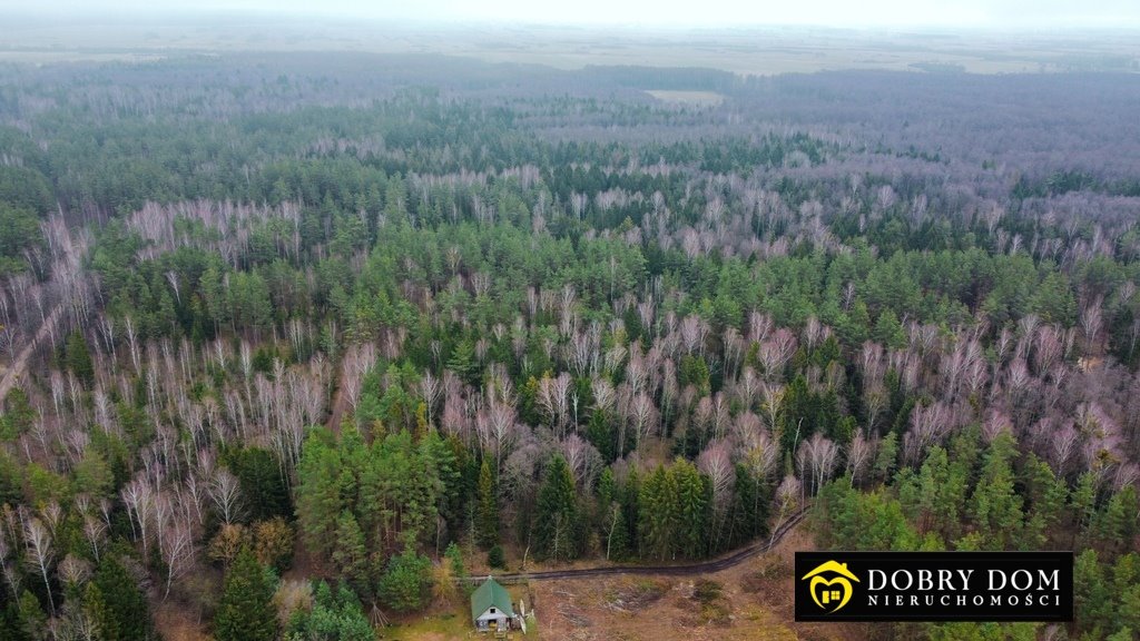 Działka leśna na sprzedaż Tajenko  85 259m2 Foto 8