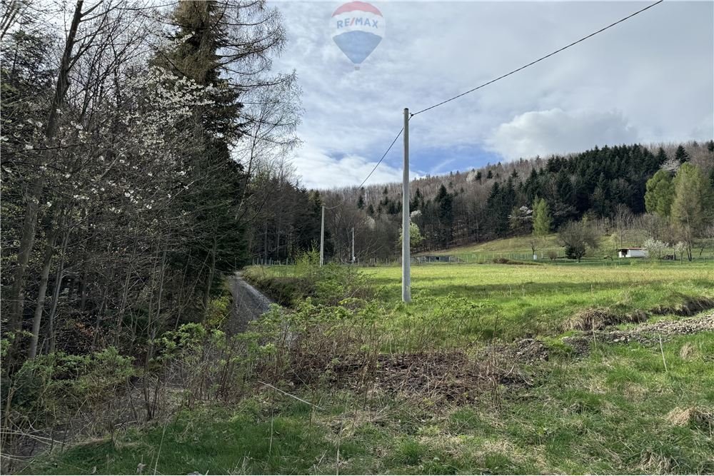 Działka leśna na sprzedaż Roczyny  7 000m2 Foto 8