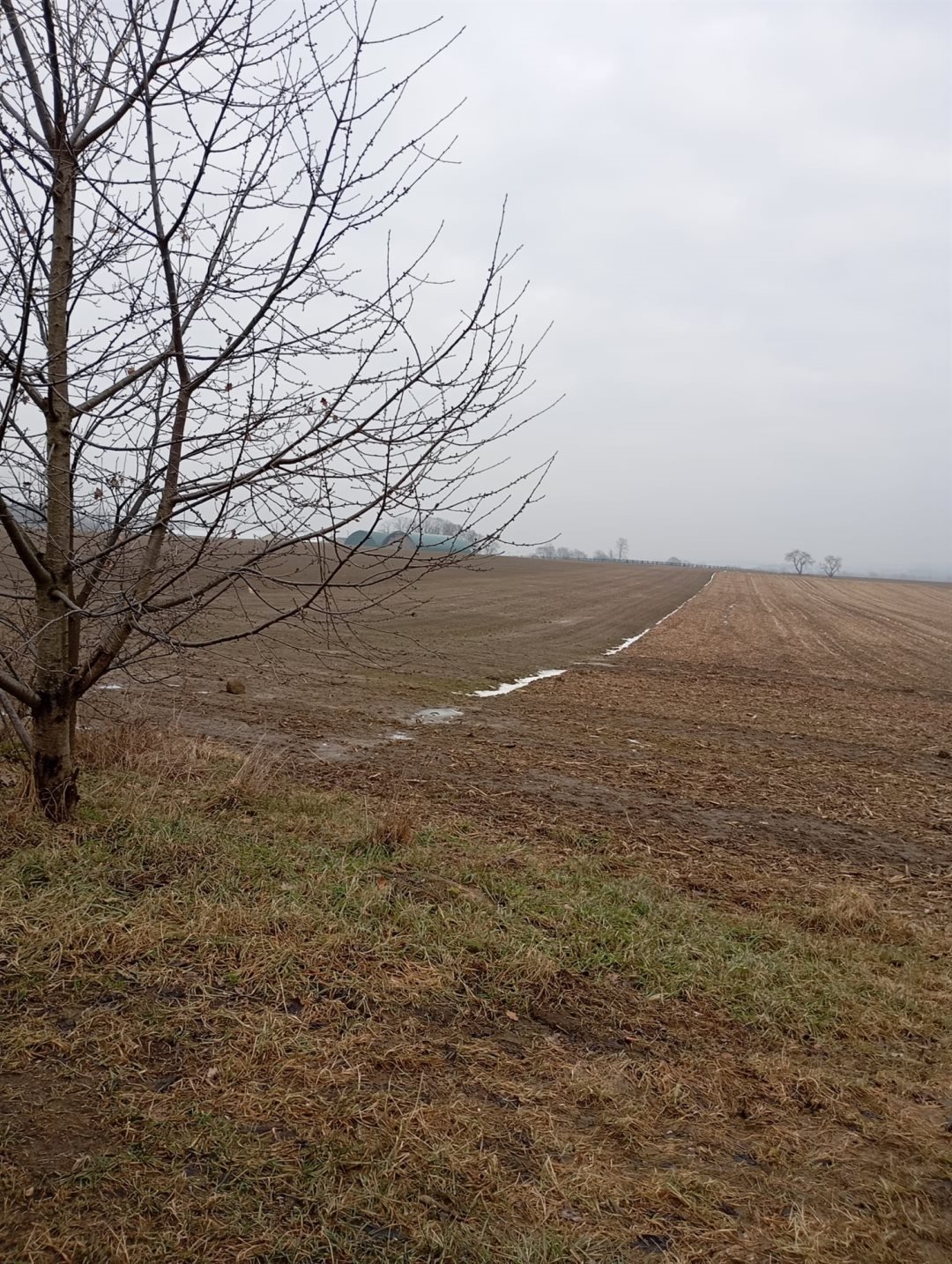 Działka 640 m² pod nowoczesny dom modułowy z mediami Wilkowice  640m2 Foto 1