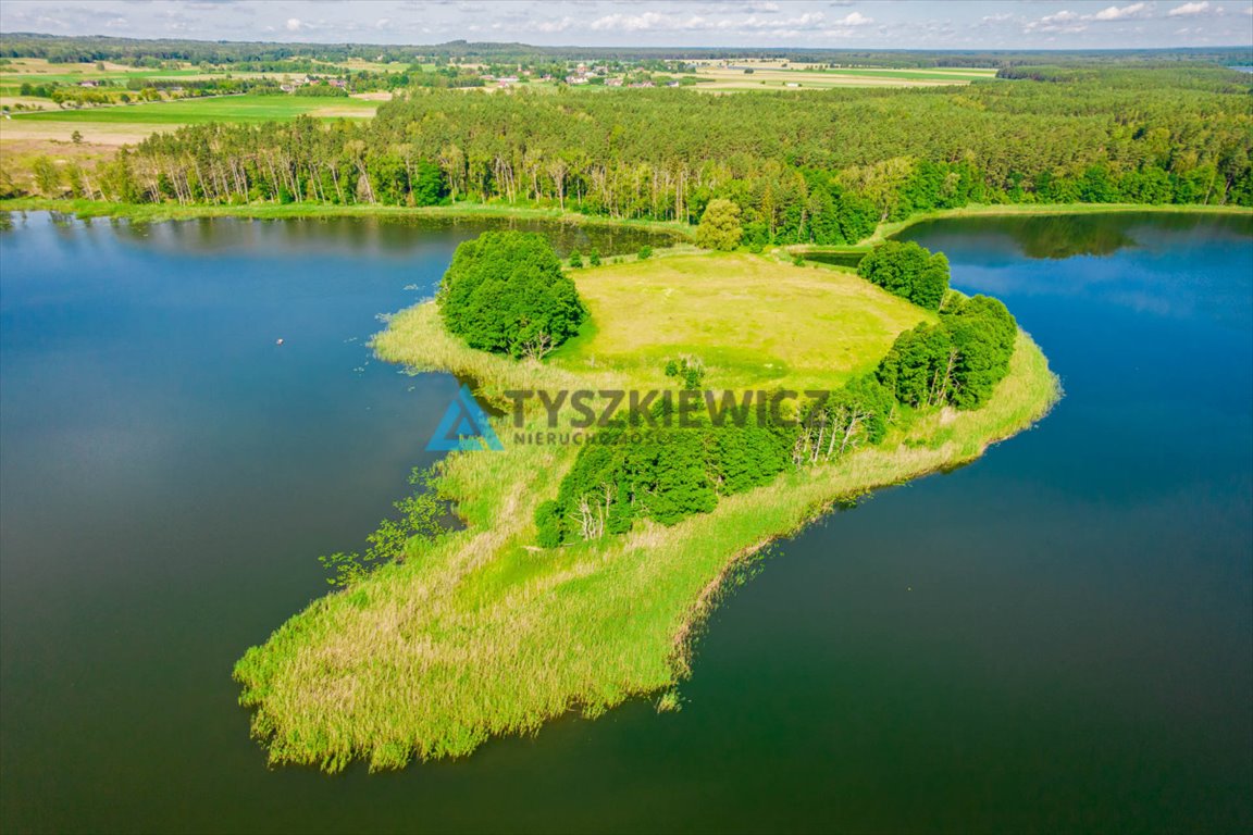 Działka siedliskowa na sprzedaż Kleśnik  3 149m2 Foto 11