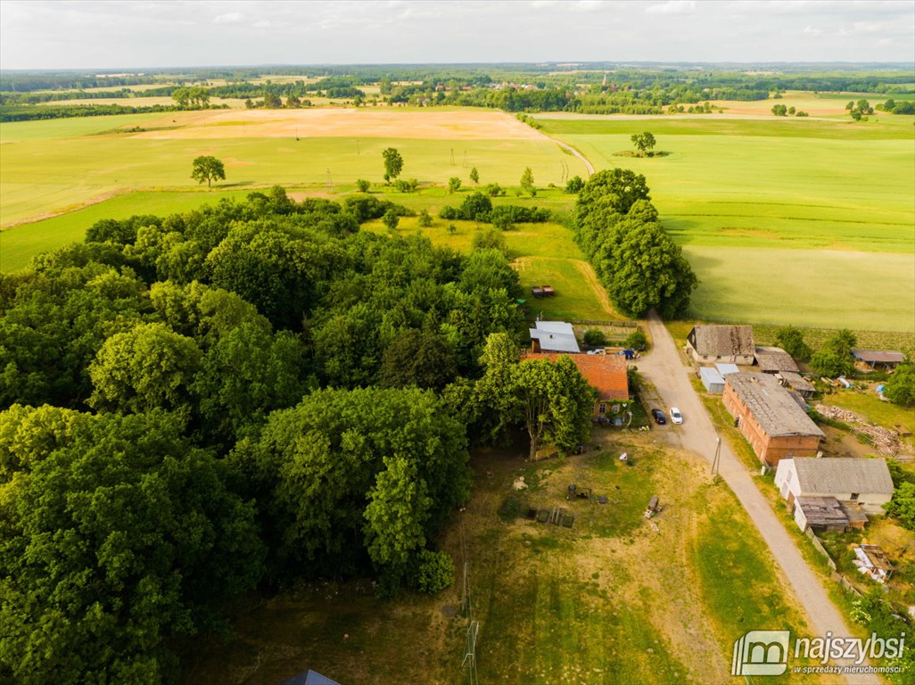 Dom na sprzedaż Dobrzany, Mosina  170m2 Foto 18