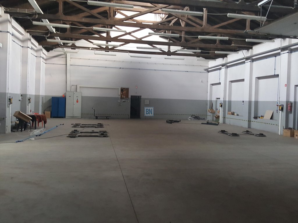 Lokal użytkowy na sprzedaż Gliwice  17 000m2 Foto 5