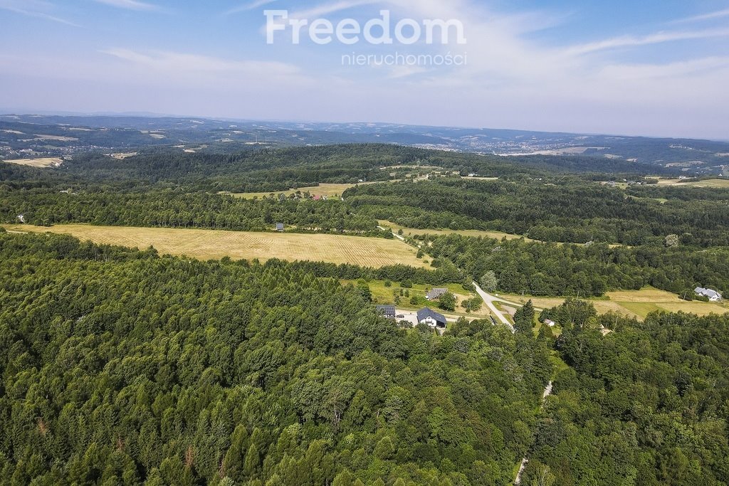 Działka budowlana na sprzedaż Lubenia  2 200m2 Foto 4