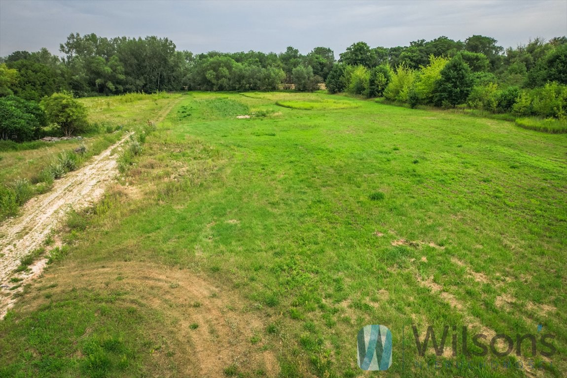 Działka budowlana na sprzedaż Łomianki Dolne, Brzegowa  3 000m2 Foto 7