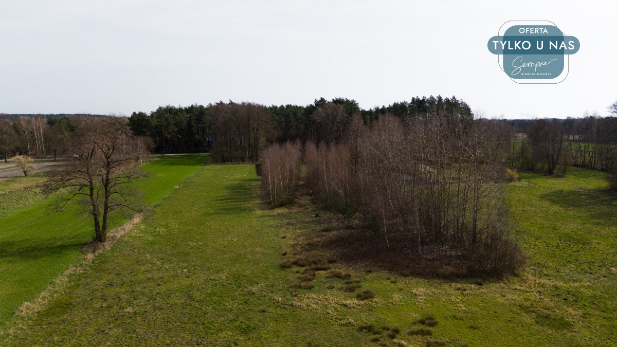 Działka budowlana na sprzedaż Leśnica  18 144m2 Foto 9