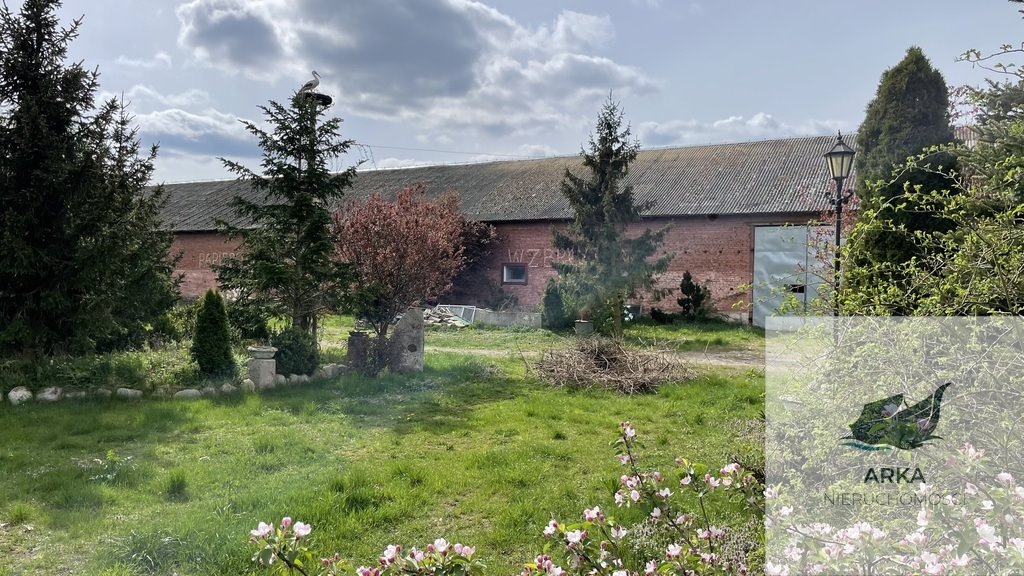 Działka inwestycyjna na sprzedaż Łeknica  4 598m2 Foto 1