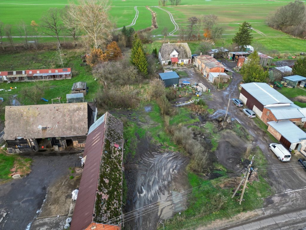 Działka budowlana na sprzedaż Pieńkowo  1 200m2 Foto 3