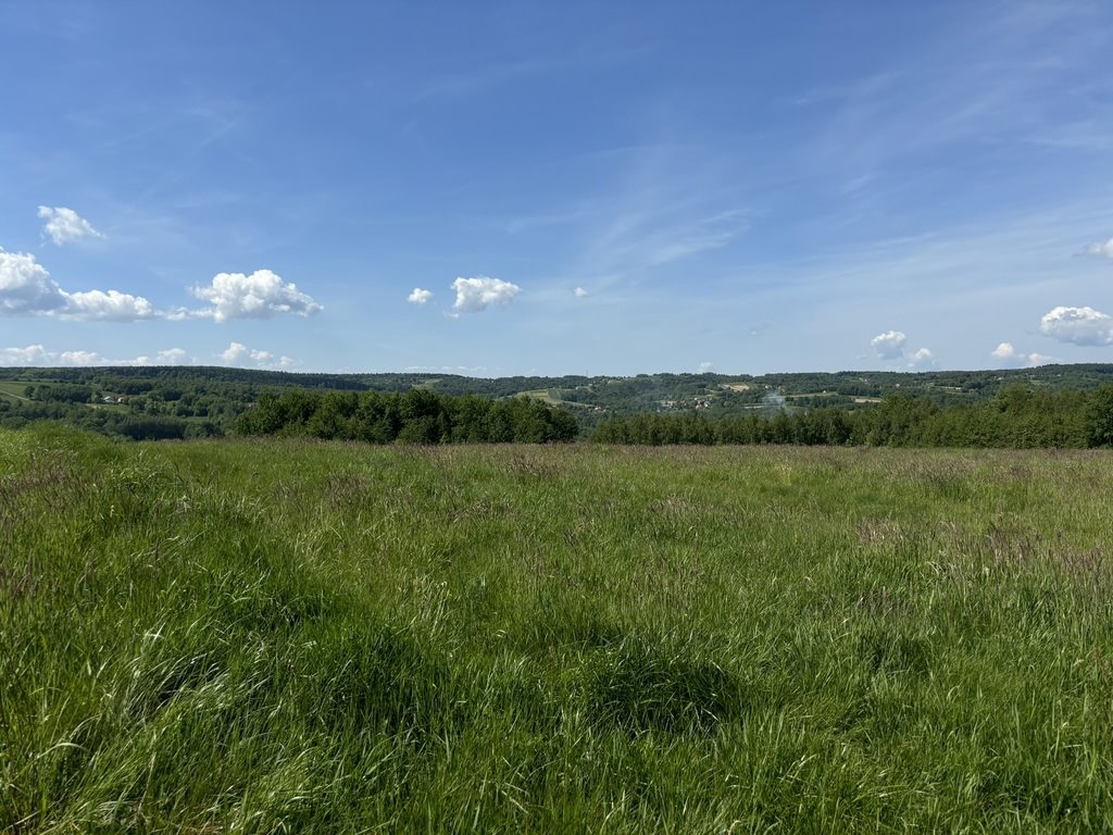 Działka inna na sprzedaż Straszydle  8 300m2 Foto 3