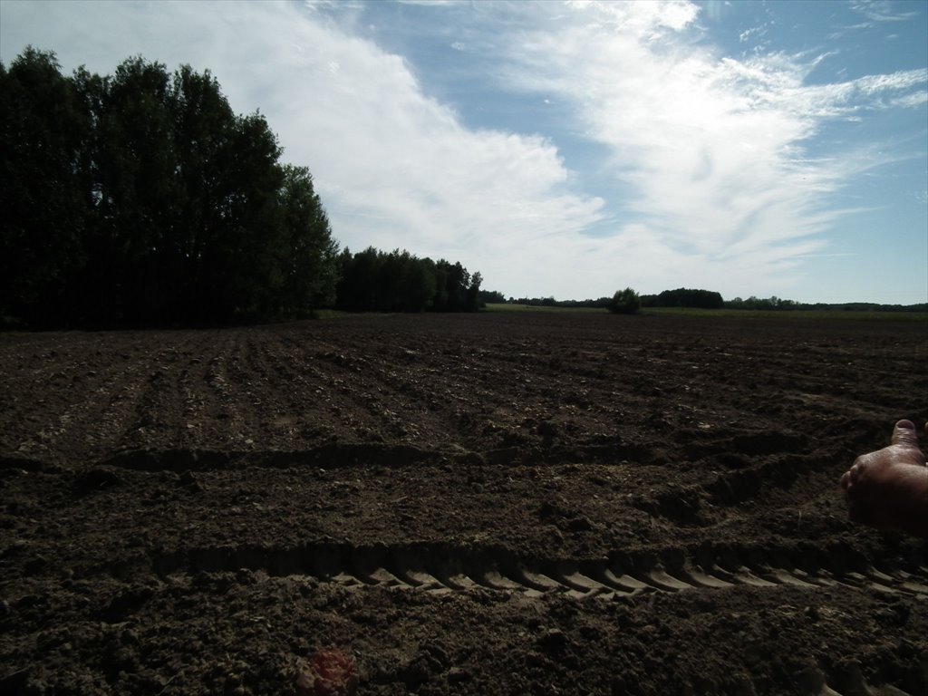 Działka rolna na sprzedaż Gaj, Gaj  35 400m2 Foto 4