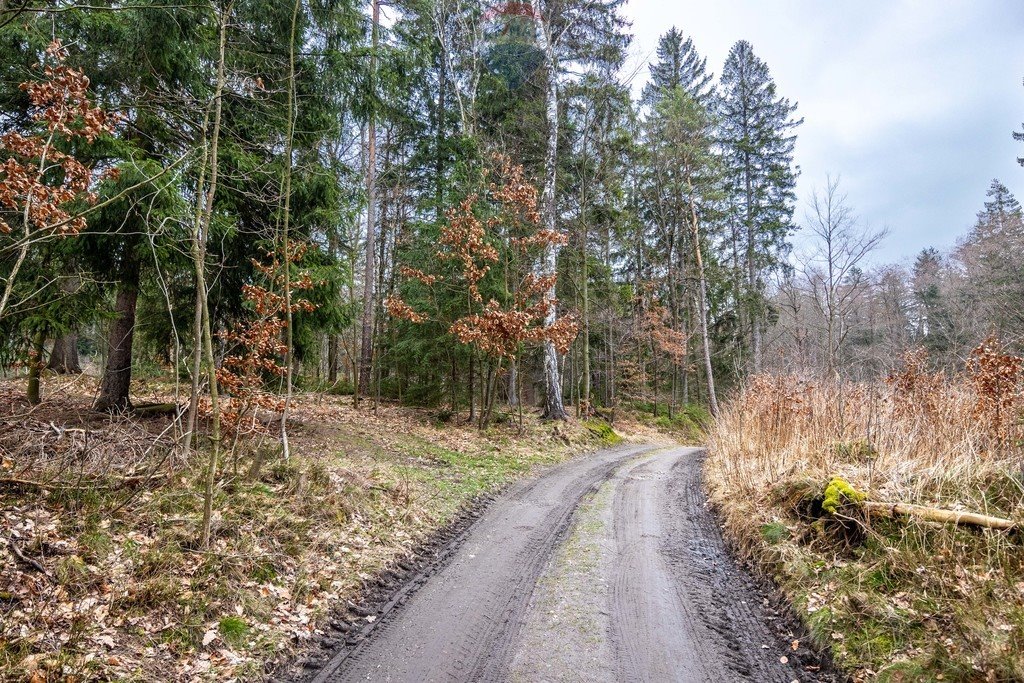 Działka rolna na sprzedaż Polanica-Zdrój, Wiejska  10 300m2 Foto 15