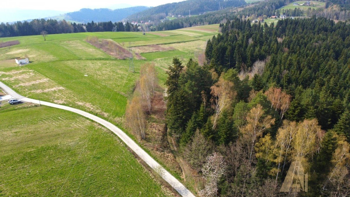 Działka budowlana na sprzedaż Paszyn  6 000m2 Foto 9