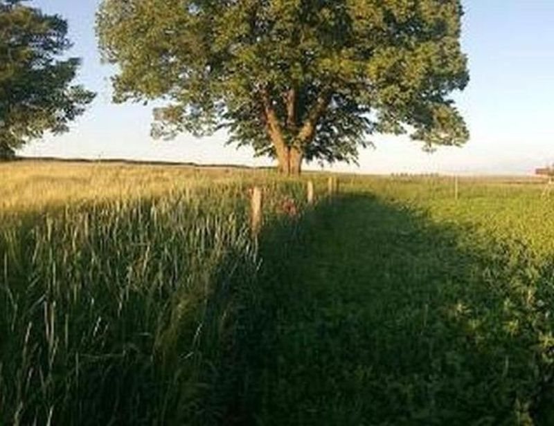 Działka rolna na sprzedaż Zagórcze, Zagórcze  65 068m2 Foto 8