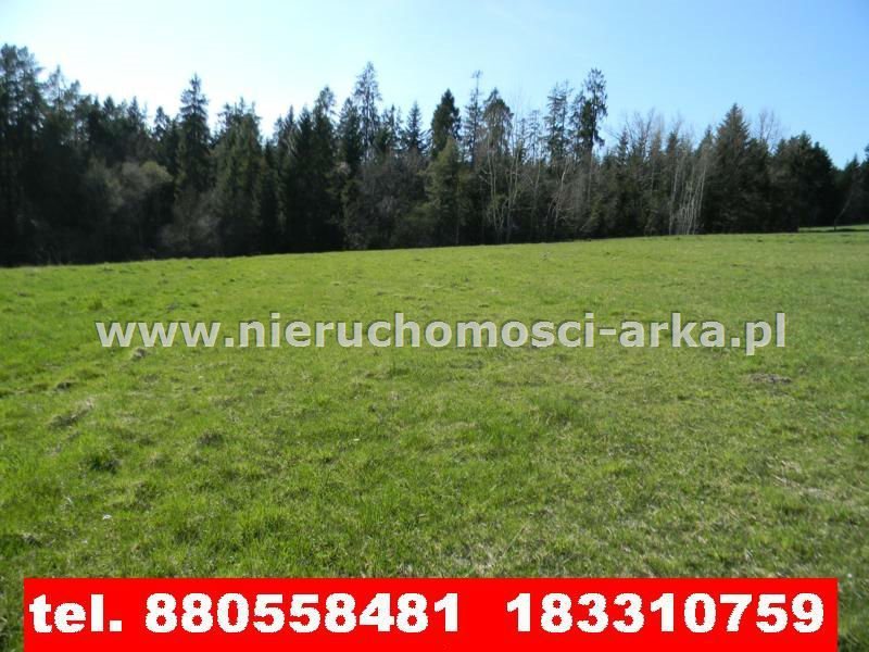 Działka rolna na sprzedaż Rabka-Zdrój 810m2 Foto 1 Działka rolna na sprzedaż Rabka-Zdrój 810m2 Foto 1