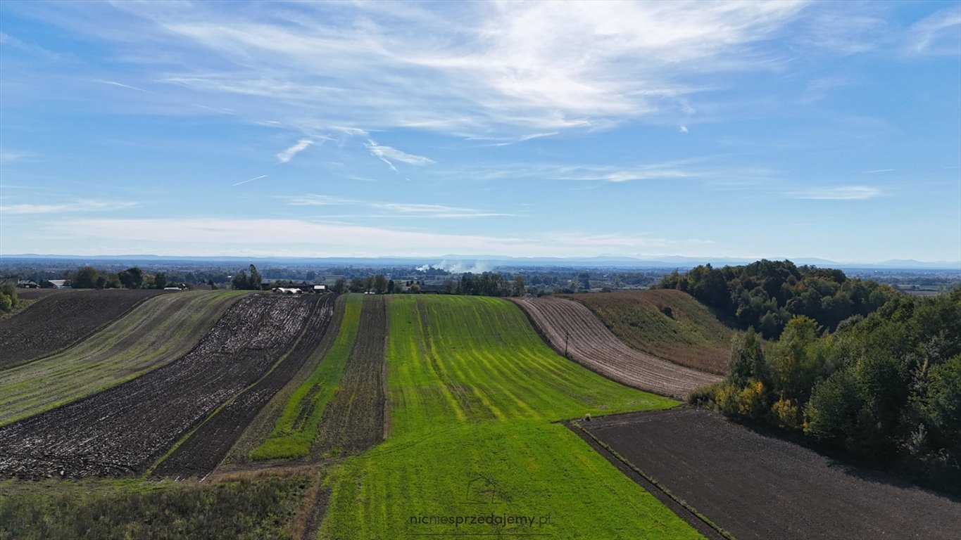 Działka rekreacyjna na sprzedaż Koszyce, Jaksice, Jaksice  750m2 Foto 2