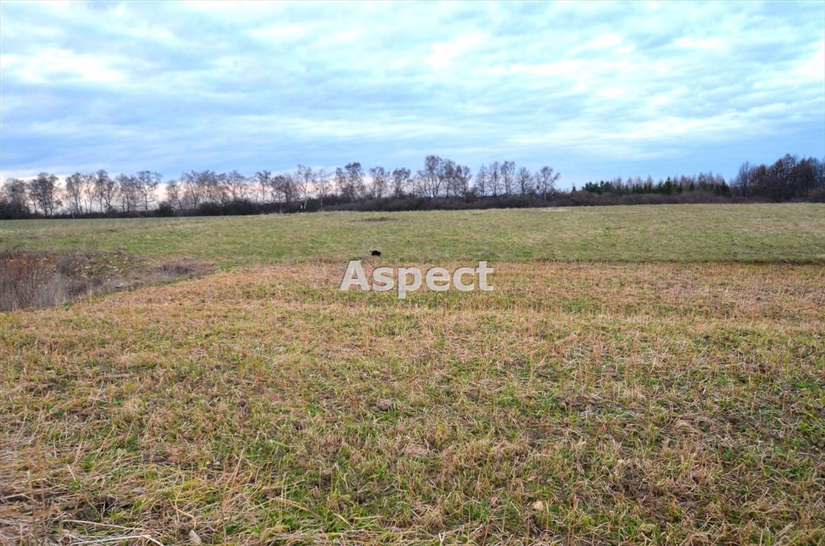 Działka budowlana na sprzedaż Góra Siewierska  1 738m2 Foto 1