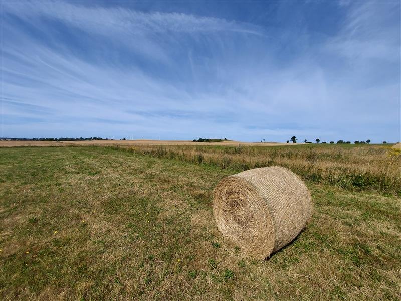 Działka budowlana na sprzedaż Zakrzewo, Zakrzewo  13 600m2 Foto 9