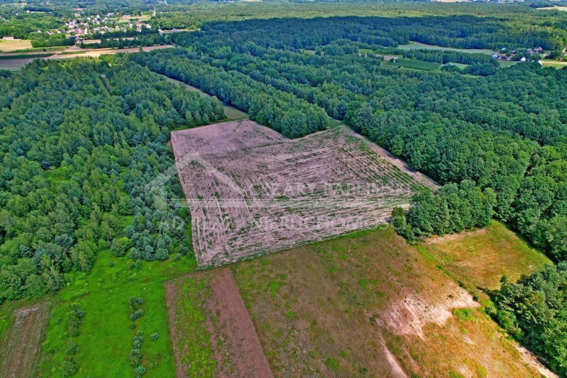 Działka rolna na sprzedaż Uściąż, Uściąż  40 000m2 Foto 4