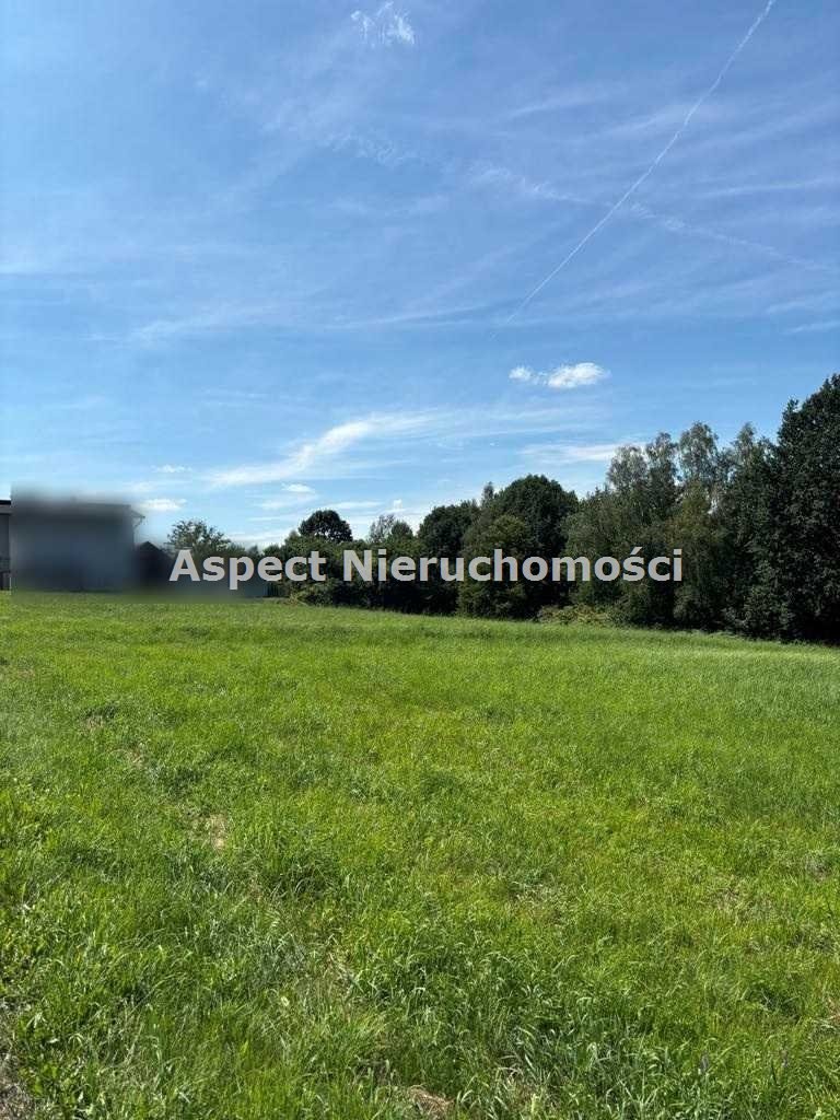 Działka budowlana na sprzedaż Kończyce Małe  3 077m2 Foto 7