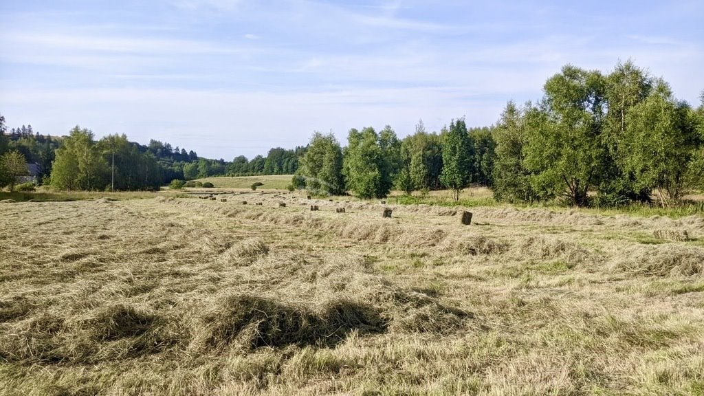 Działka budowlana na sprzedaż Świeradów-Zdrój, Długa  2 000m2 Foto 4