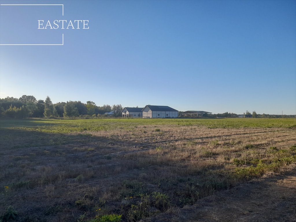 Działka rolna 10 004 m² z możliwością zabudowy w Prażmowie Prażmów  10 004m2 Foto 1