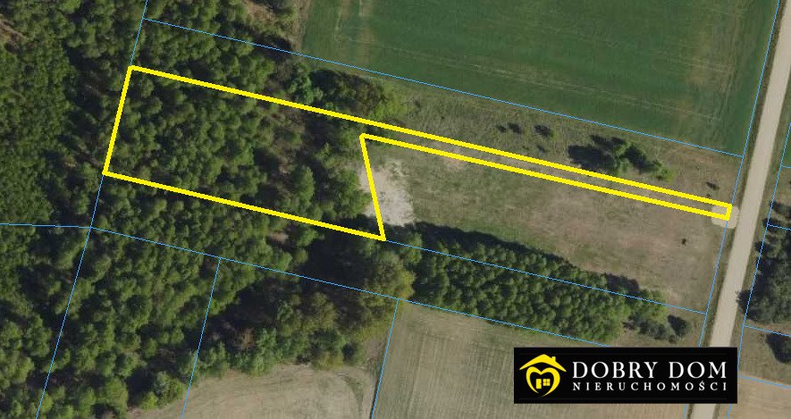 Działka leśna 3000 m² w Kosmatym Borku – spokój i natura Kosmaty Borek  3 000m2 Foto 1