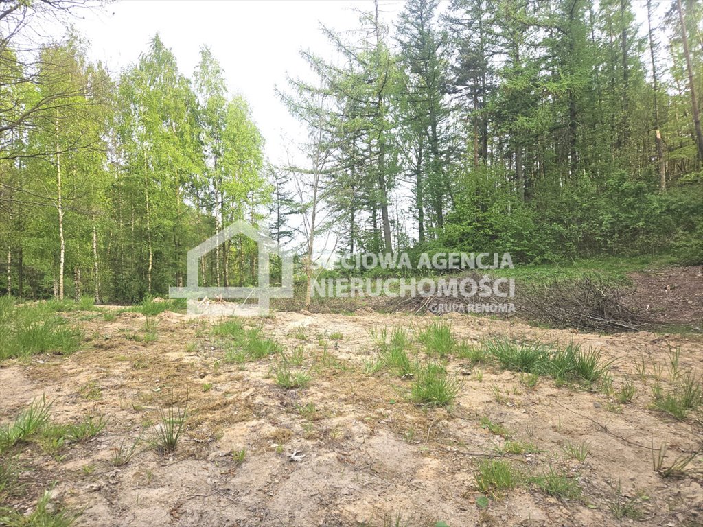 Działka budowlana na sprzedaż Sierakowice  1 173m2 Foto 1