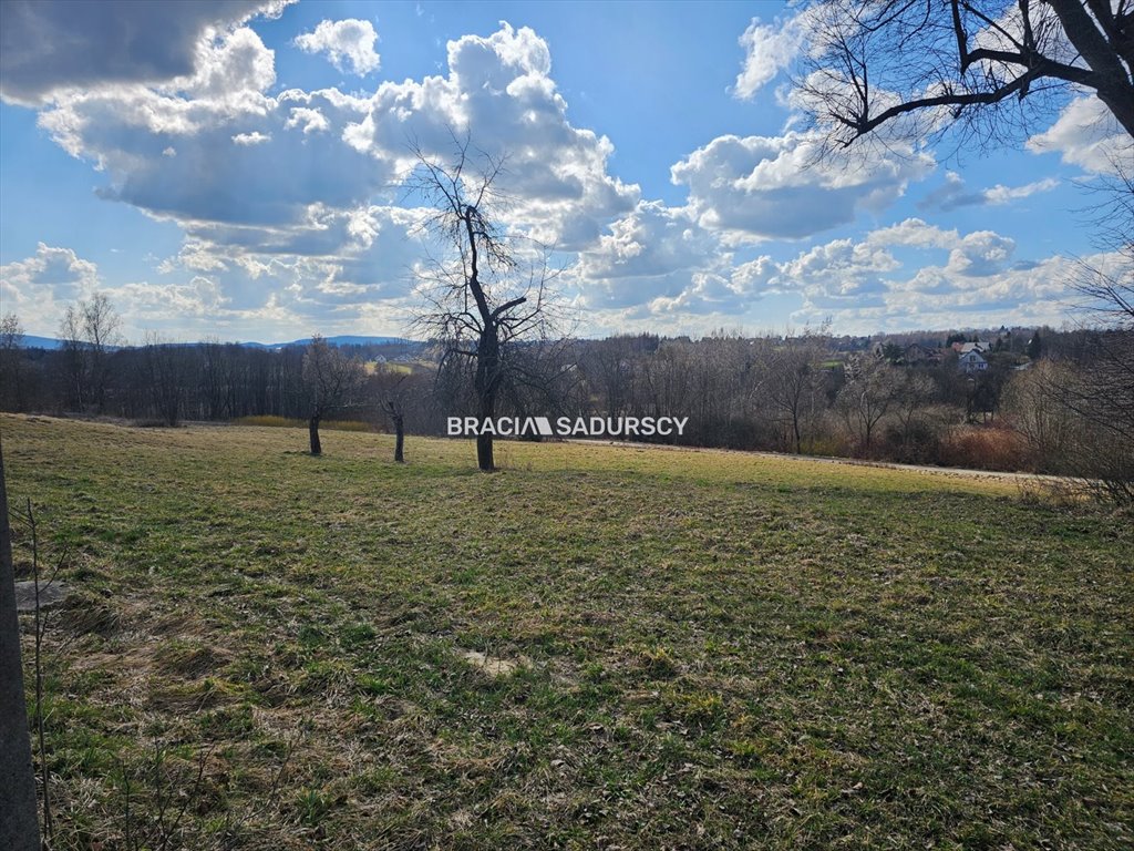 Działka 5,65 ha z dostępem do mediów i korzystnym kształtem Czechówka, Szkolna  5 650m2 Foto 1