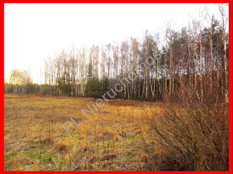 Działka rolna na sprzedaż Dębe Wielkie 1 200m2 Foto 1 Działka rolna na sprzedaż Dębe Wielkie 1 200m2 Foto 1