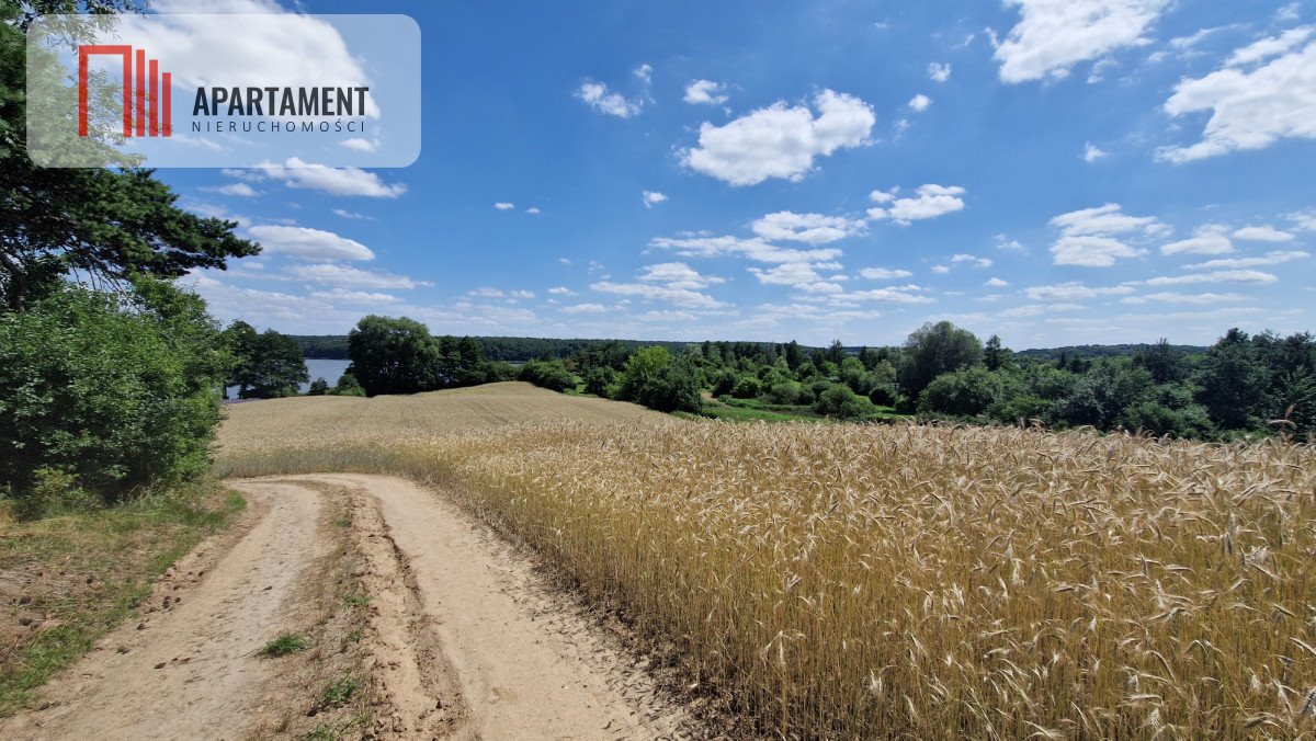 Działka gospodarstwo rolne na sprzedaż Chomiąża Księża  11 822m2 Foto 4