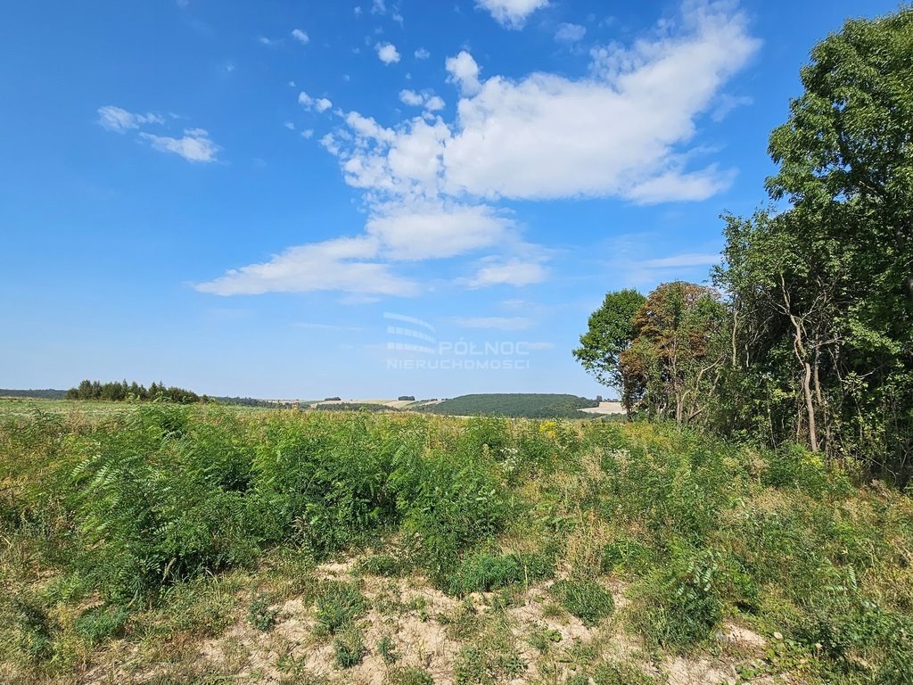 Działka rolna na sprzedaż Racławice  11 100m2 Foto 1