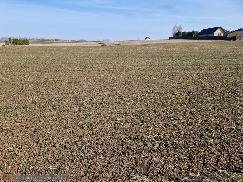 Działka budowlana w I linii, media, 915 m², Sieciechowice Sieciechowice  915m2 Foto 1