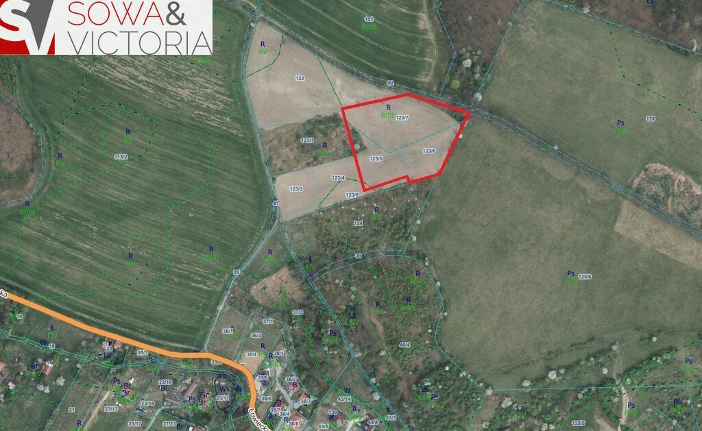 Działka rolna z dostępem do drogi, 15 236 m2. Wałbrzych, Lubiechów  15 236m2 Foto 1