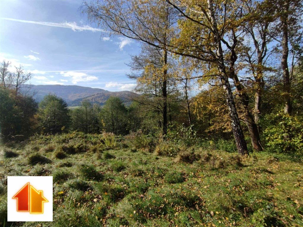 Widokowa działka w Brennej z lasem i górami Brenna, Widokowa  2 600m2 Foto 1