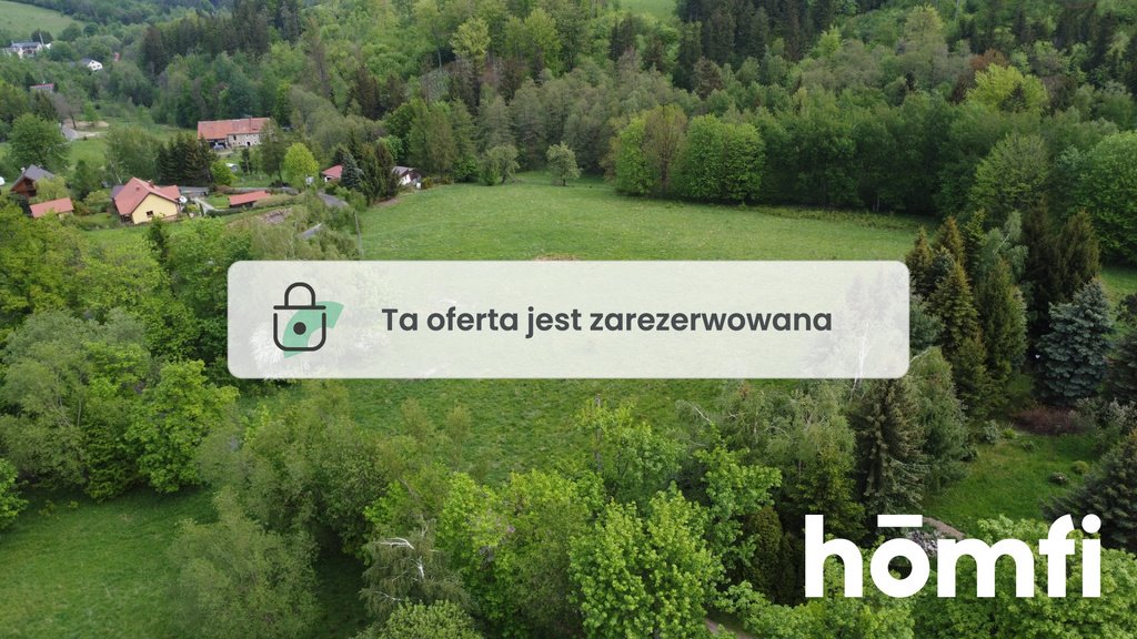 Działka inna na sprzedaż Walim  13 740m2 Foto 1