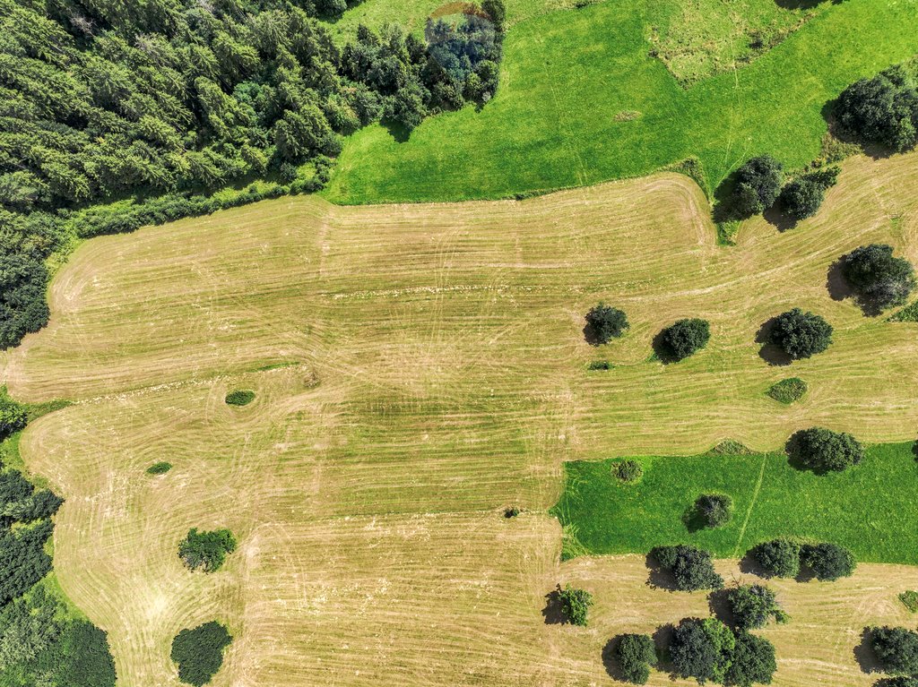 Działka rolna na sprzedaż Leśnica  2 117m2 Foto 11