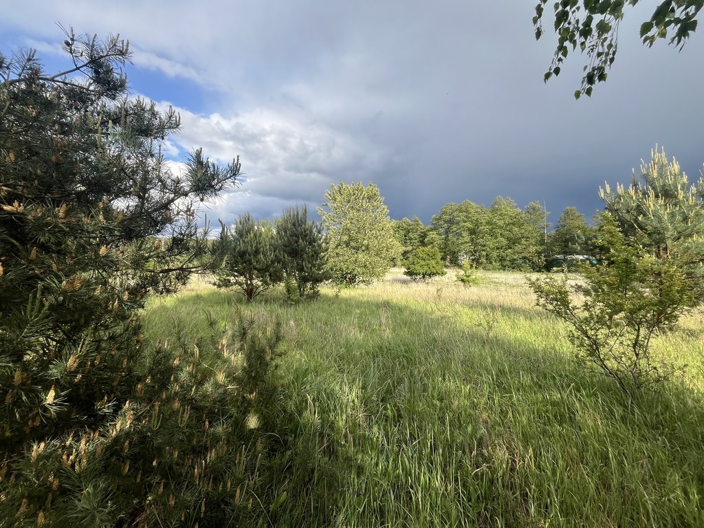 Działka budowlana na sprzedaż Drawiny  6 600m2 Foto 1