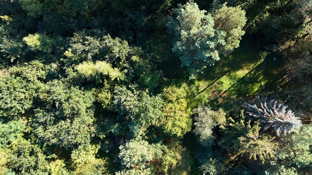 Działka budowlana na sprzedaż Wincentów  2 702m2 Foto 1