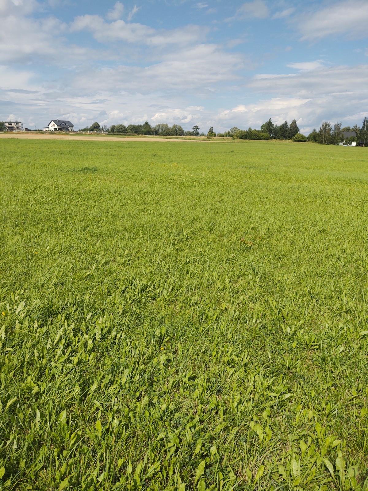 Działka budowlana na sprzedaż Międzyrzecze Górne  1 175m2 Foto 12