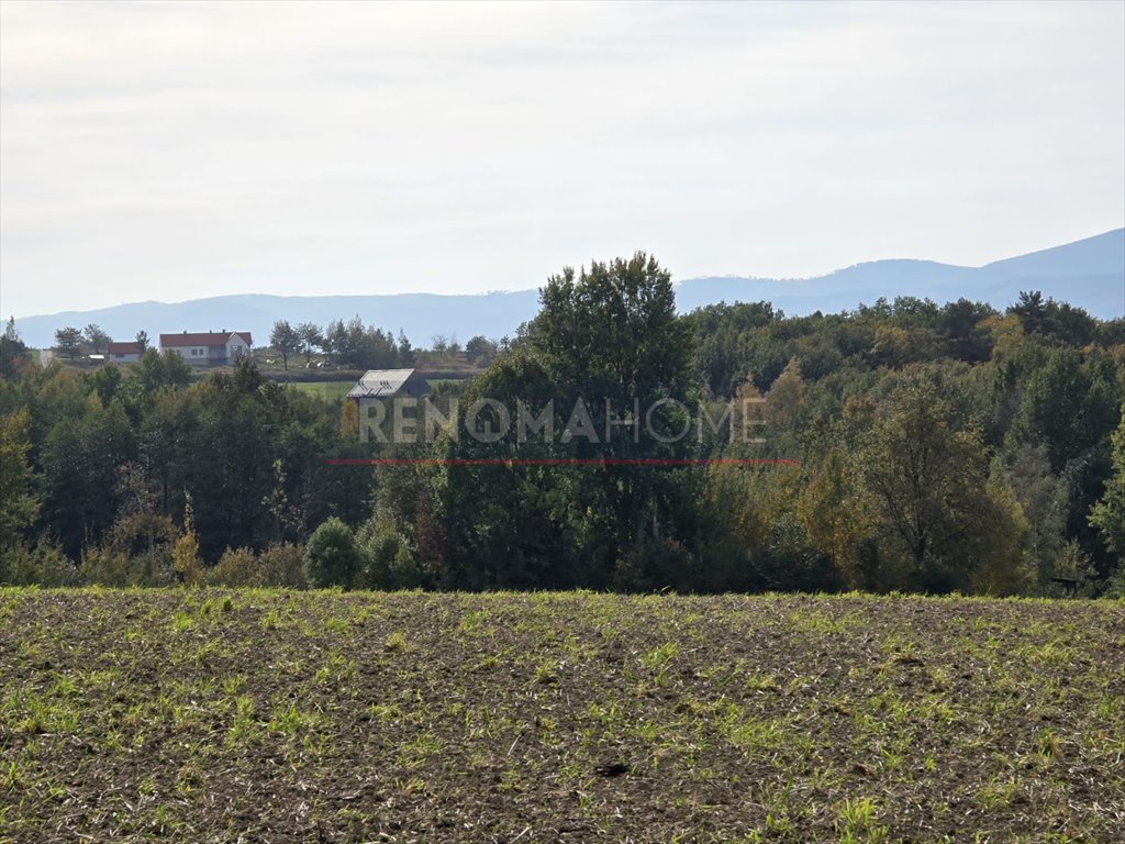 Działka gospodarstwo rolne na sprzedaż Sobótka, Tąpadła  90 500m2 Foto 12