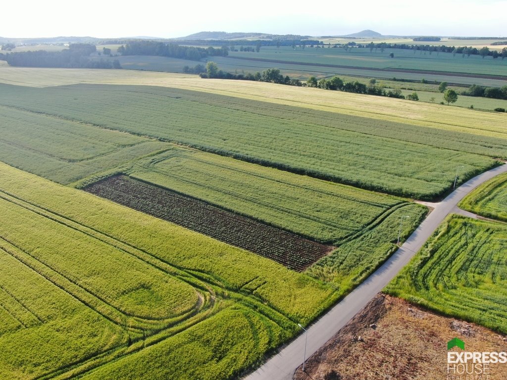 Działka budowlana na sprzedaż Pielgrzymka  4 400m2 Foto 4