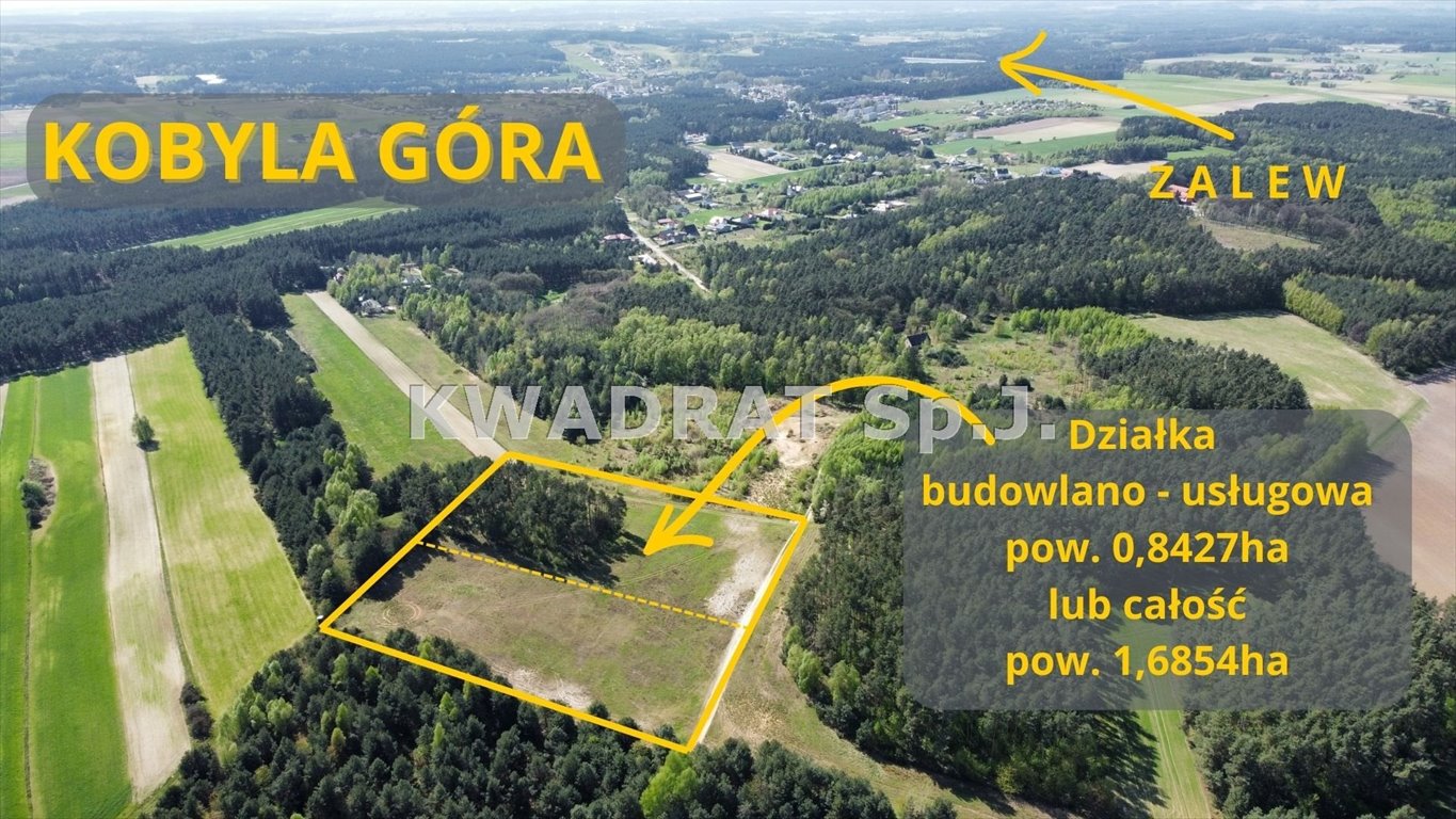 Urokliwa działka z lasem, prąd, 8 427 m2, Kobyla Góra Kobyla Góra  8 427m2 Foto 1