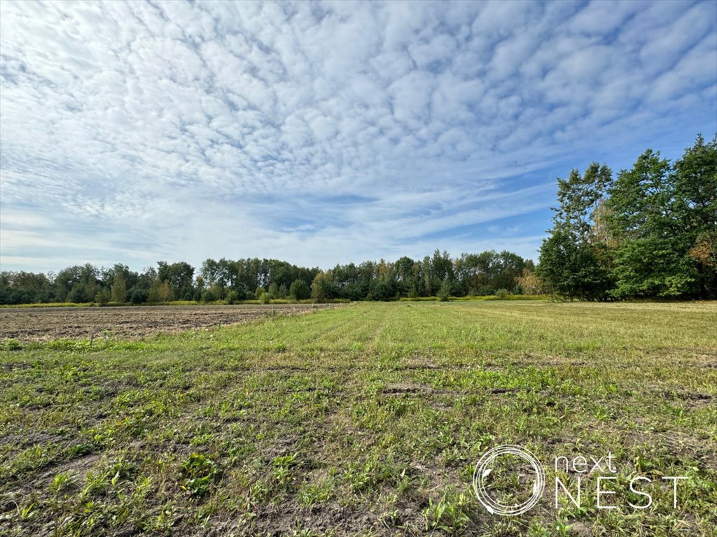 Działka budowlana na sprzedaż Grochowa  1 569m2 Foto 6