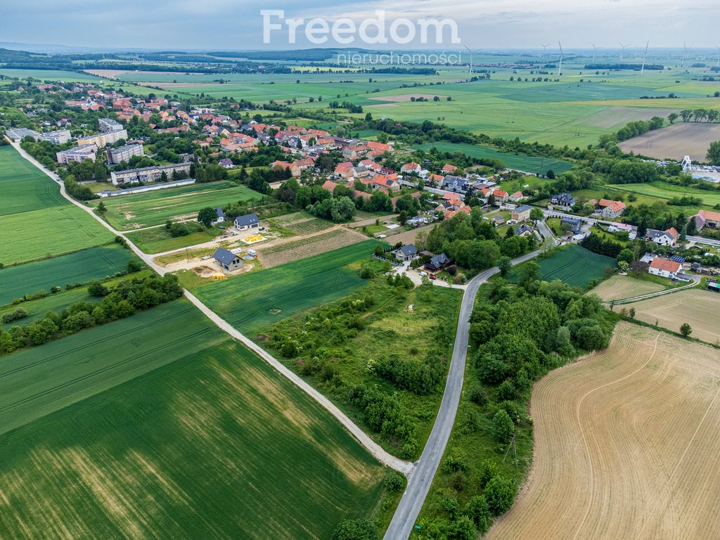 Działka budowlana na sprzedaż Jaroszów  11 828m2 Foto 4