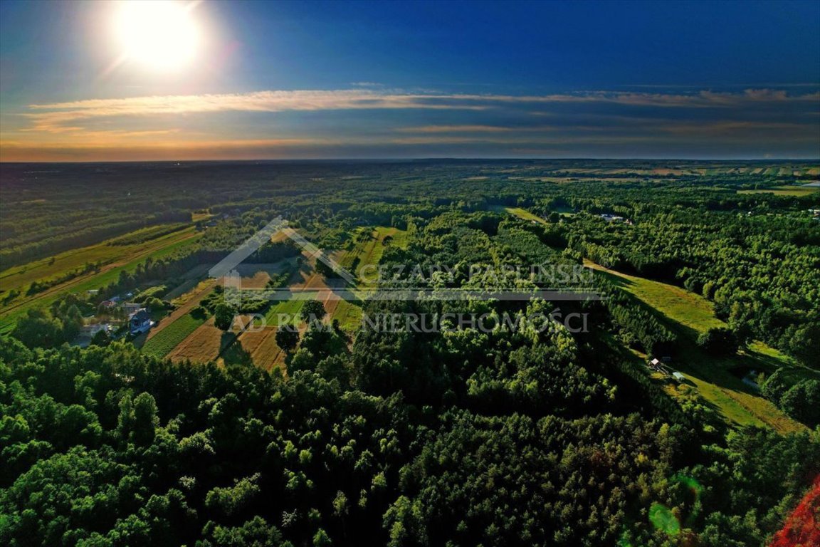 Działka leśna na sprzedaż Poniatowa, Leśniczówka, Leśniczówka  21 671m2 Foto 12