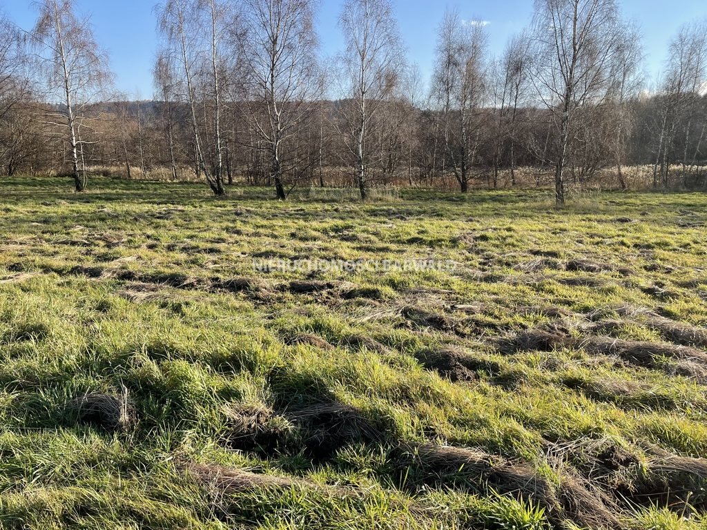 Działka budowlana na sprzedaż Lanckorona  20 976m2 Foto 4