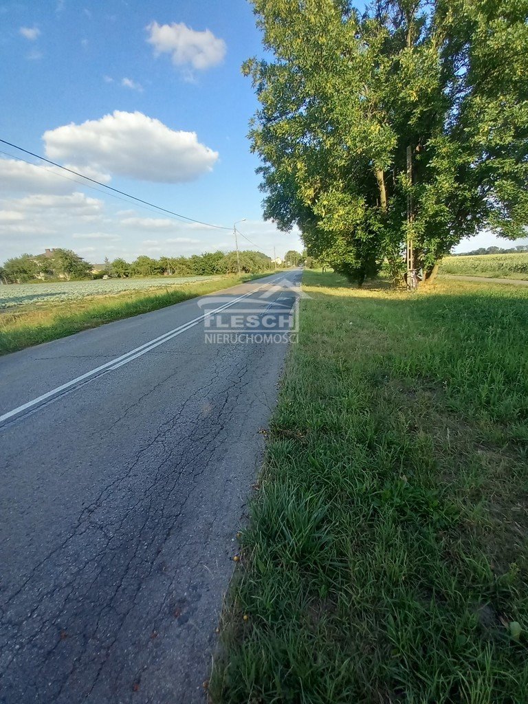 Działka rolna na sprzedaż Kotowice  2 348m2 Foto 6