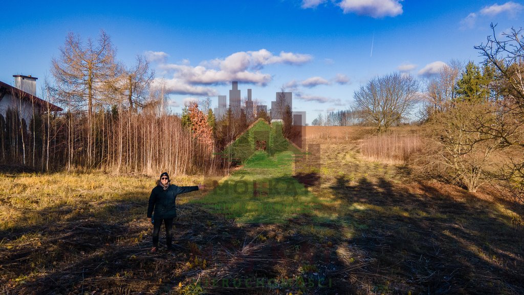 Działka rolna na sprzedaż Konopnica  2 700m2 Foto 10