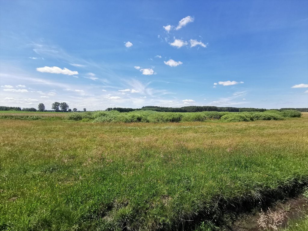 Działka rolna na sprzedaż Kleszczyna  27 800m2 Foto 8