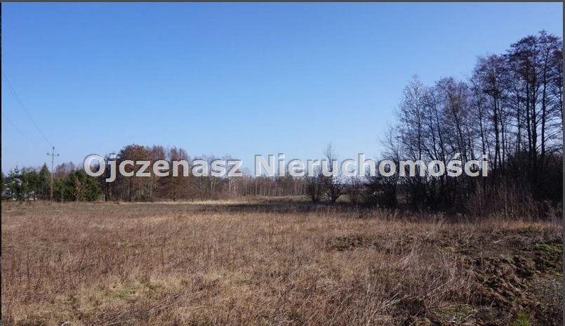 Działka budowlana na sprzedaż Niemcz  7 037m2 Foto 5