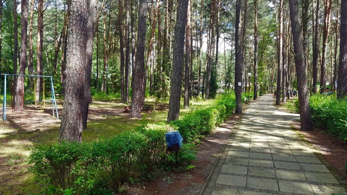 Lokal użytkowy na sprzedaż Radzyń  1 000m2 Foto 12